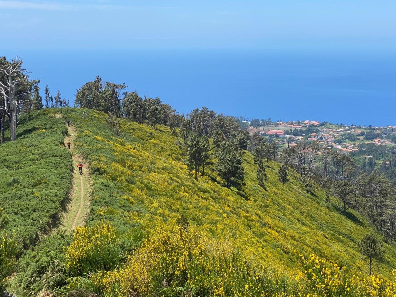 Madeira_2021_020_020.jpg