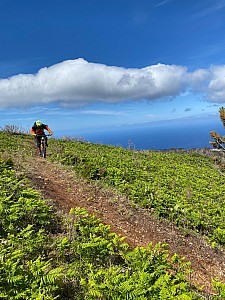 Madeira_2021_017_017.jpg